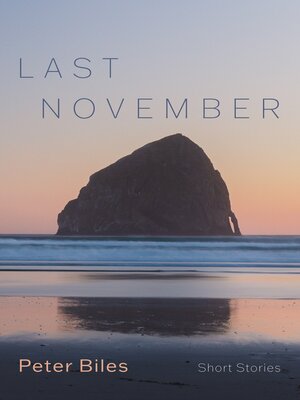 cover image of Last November